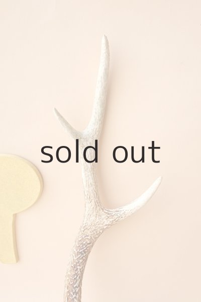 画像3: デコール用二ホンジカの角 (3)