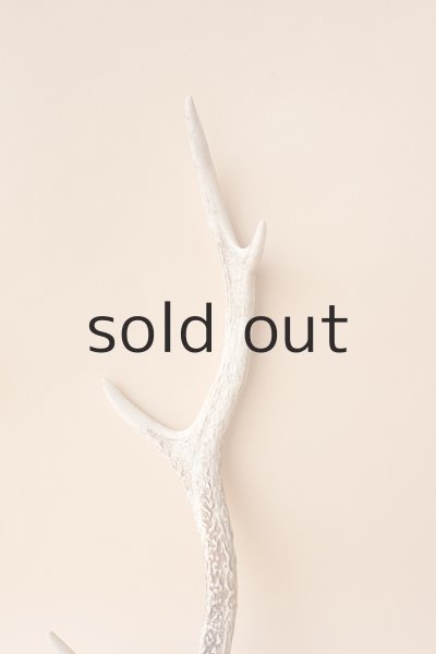 画像3: デコール用二ホンジカの角 (3)