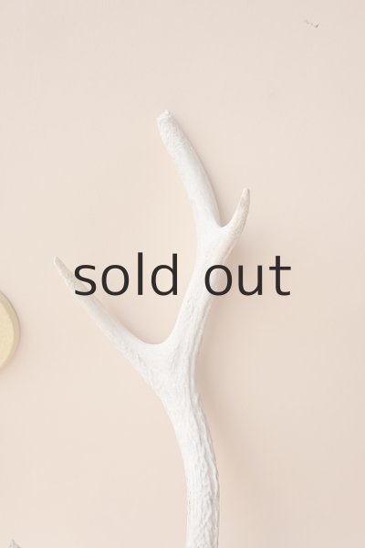 画像3: デコール用二ホンジカの角 (3)