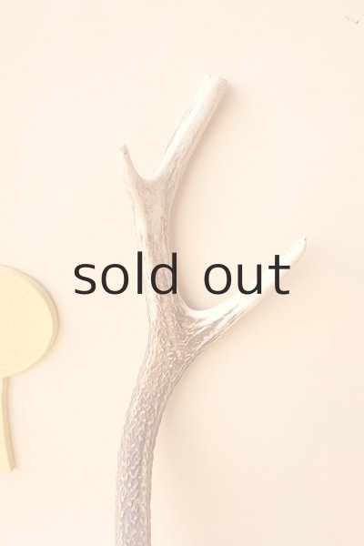 画像3: デコール用二ホンジカの角 (3)