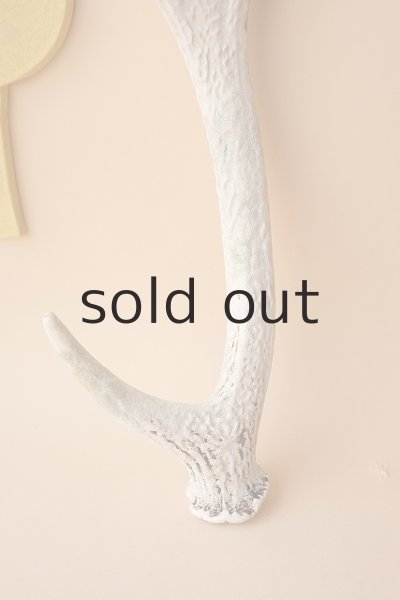 画像2: デコール用二ホンジカの角 (2)