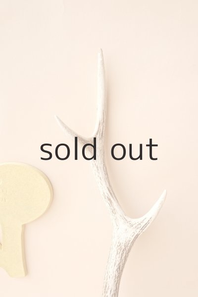 画像3: デコール用二ホンジカの角 (3)