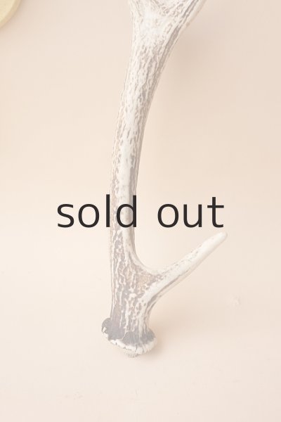 画像2: デコール用二ホンジカの角 (2)