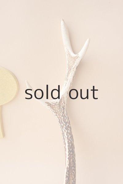 画像3: デコール用二ホンジカの角 (3)