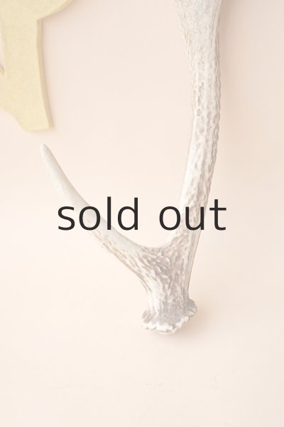 画像2: デコール用二ホンジカの角 (2)