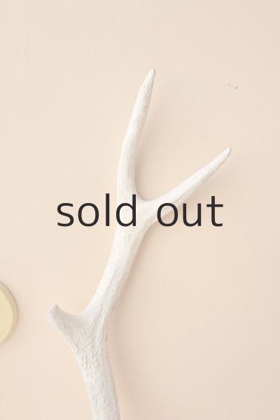 画像3: デコール用二ホンジカの角 (3)