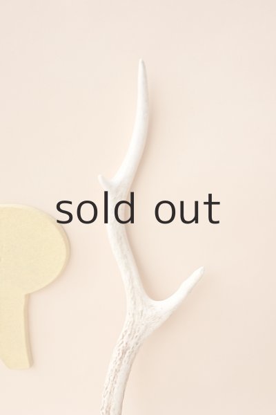 画像3: デコール用二ホンジカの角 (3)