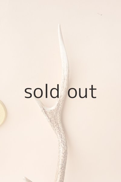 画像3: デコール用二ホンジカの角 (3)