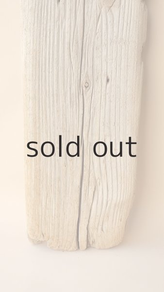 画像2: 板流木 (2)