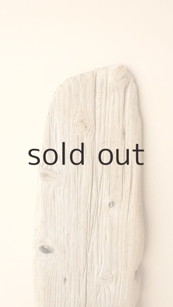 画像3: 板流木 (3)