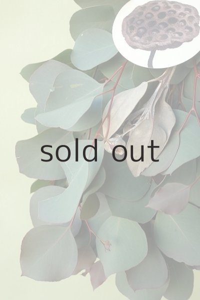 画像3: Dry plants for decor ユーカリ2種シンプルスワッグ (3)