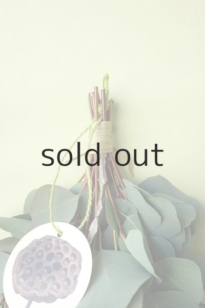 画像2: Dry plants for decor ユーカリ2種シンプルスワッグ (2)