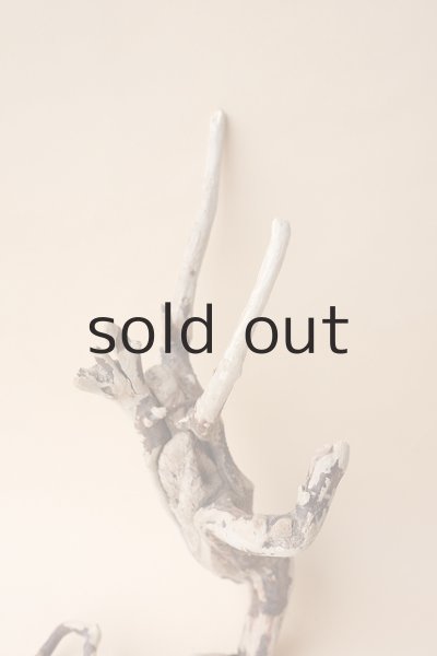 画像3: 流木根 (3)