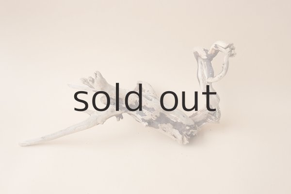 画像4: 流木根 (4)