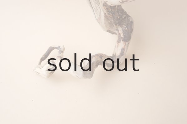 画像2: 流木根 (2)