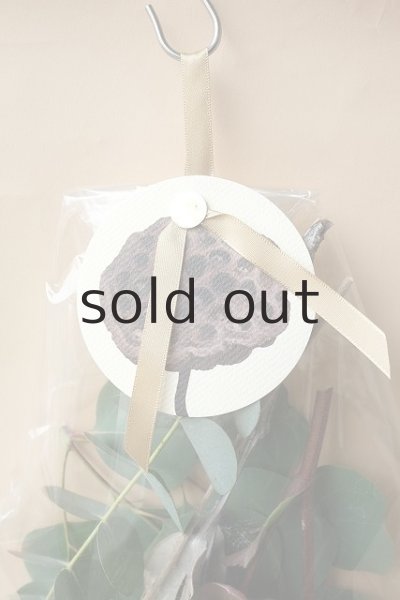 画像2: Dry plants for decor ドライプランツミニアソート(壁掛けタイプ) (2)