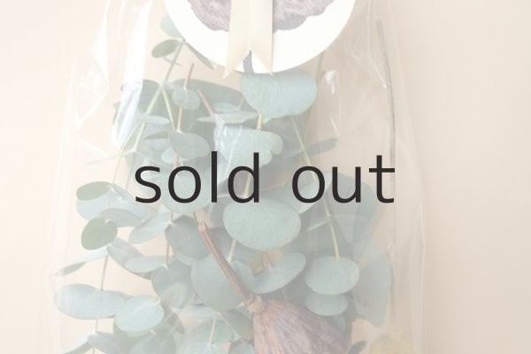 画像3: Dry plants for decor ドライプランツミニアソート（壁掛けタイプ） (3)