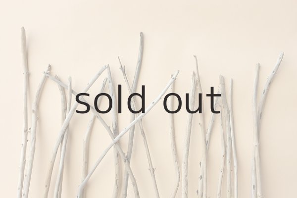 画像3: 棒流木セット（outlet） (3)