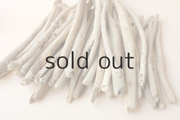 画像5: 棒流木セット (5)