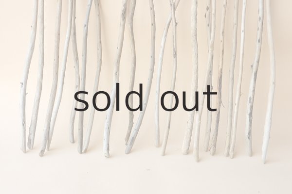 画像2: 棒流木セット（outlet） (2)