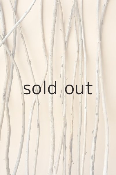 画像5: 棒流木セット（outlet） (5)