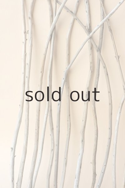 画像4: 棒流木セット（outlet） (4)