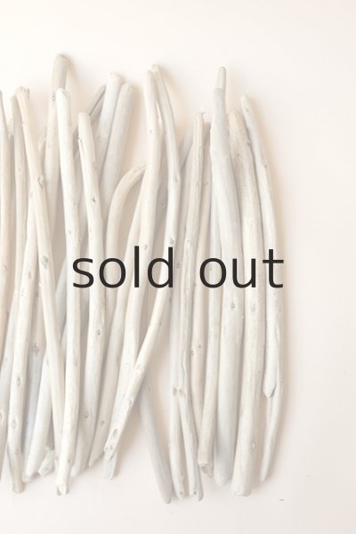 画像4: 棒流木セット (4)