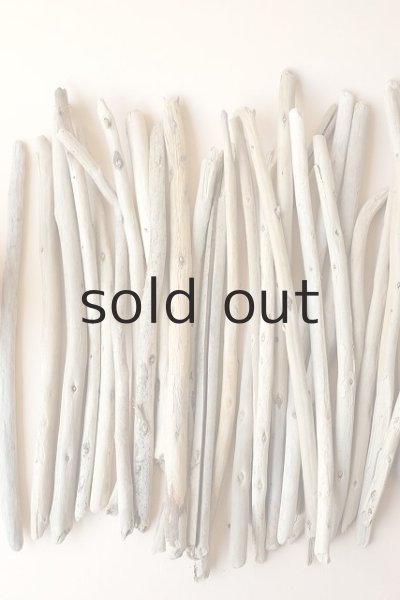 画像3: 棒流木セット (3)