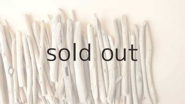 画像3: 棒流木セット (3)