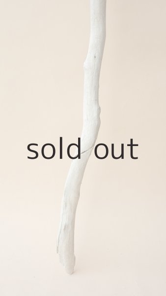 画像2: 枝流木 (2)