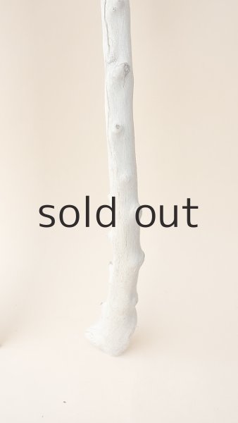 画像4: 枝流木 (4)