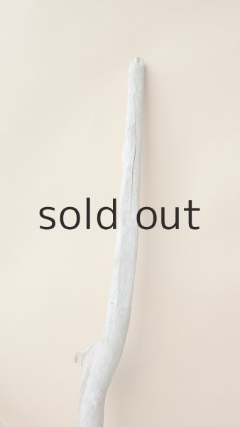 画像4: 枝流木 (4)