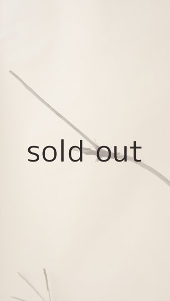 画像4: 枝流木 (4)