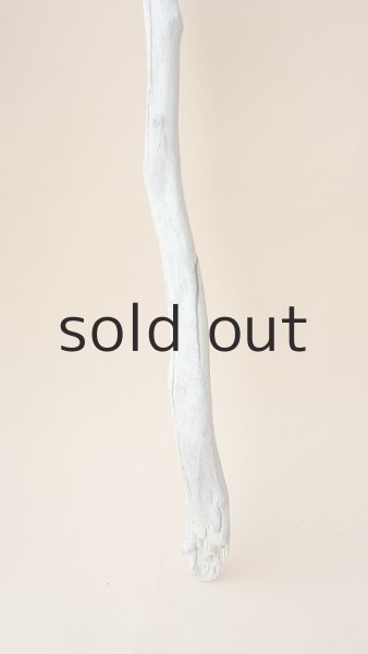 画像5: 枝流木 (5)