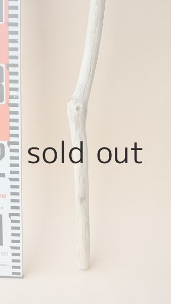 画像5: 枝流木 (5)