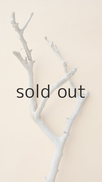 画像3: 枝流木 (3)