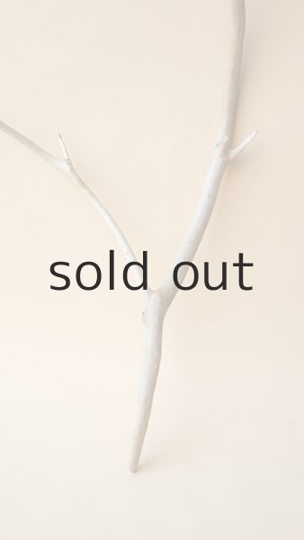 画像2: 枝流木 (2)