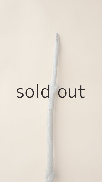 画像4: 枝流木 (4)