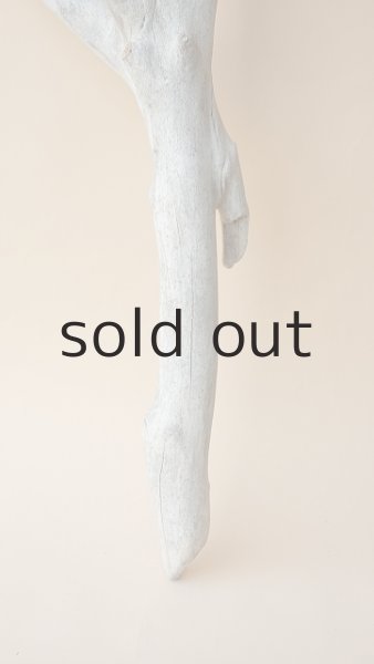 画像2: 枝流木 (2)