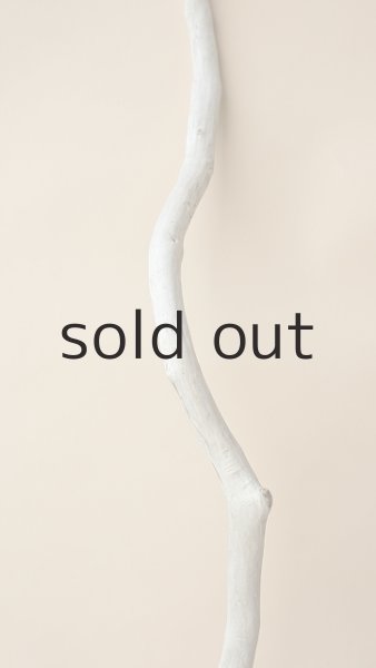 画像3: 枝流木 (3)