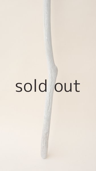 画像2: 枝流木 (2)