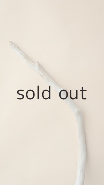 画像4: 枝流木 (4)