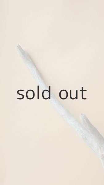 画像3: 枝流木 (3)