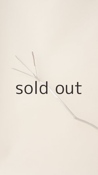 画像3: 枝流木 (3)