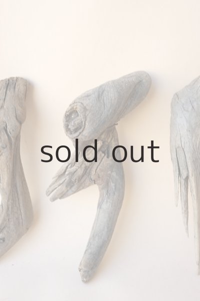 画像3: 変形流木セット (3)