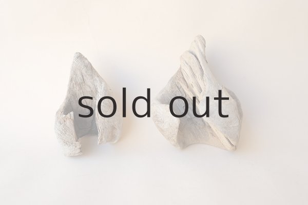 画像2: 変形流木セット (2)