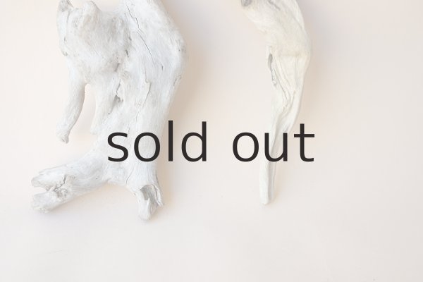 画像4: 流木根セット (4)