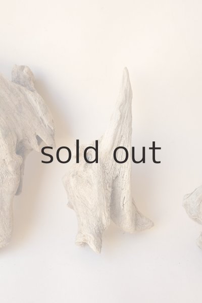 画像4: 変形流木セット (4)