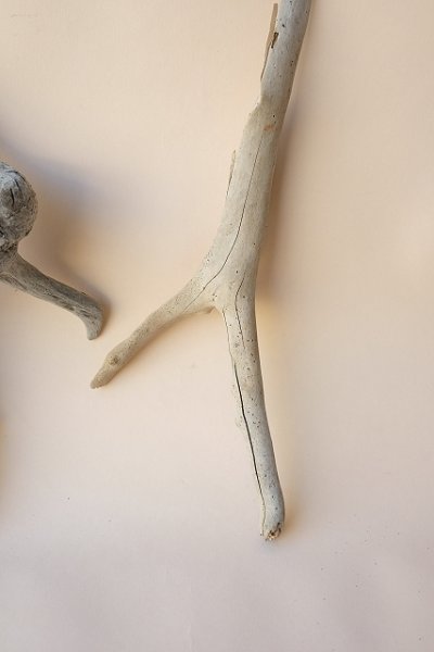 画像4: 流木根セット (4)