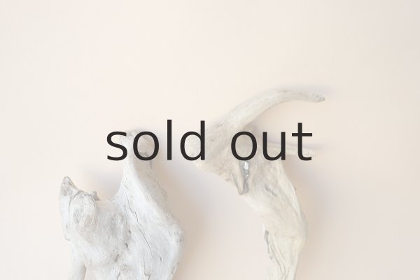 画像5: 流木根セット (5)